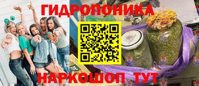 мяу мяу мука Будённовск