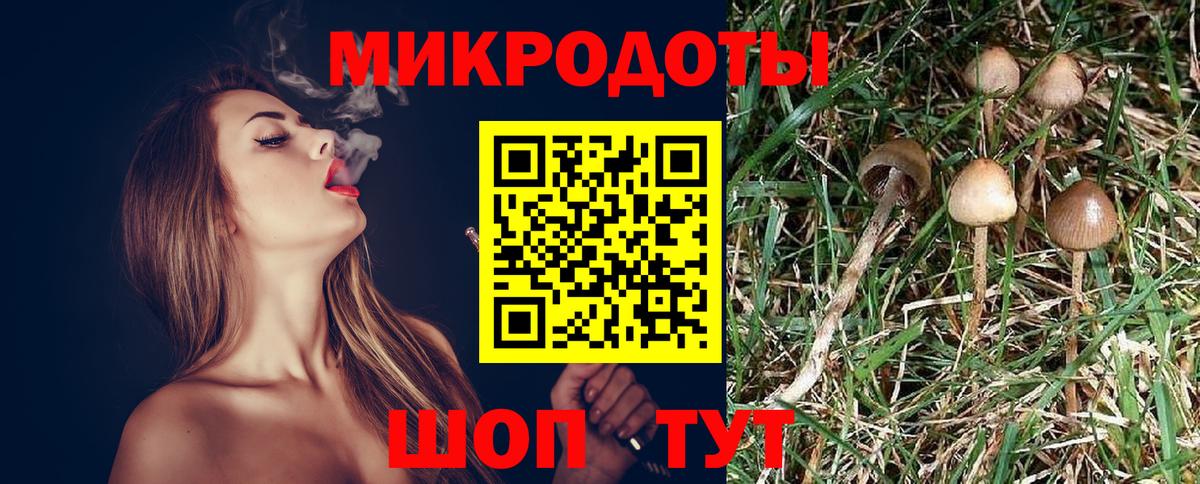 Галлюциногенные грибы мицелий Кушва